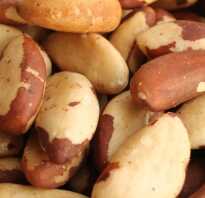 Сколько можно есть бразильских орехов в день