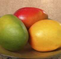 Сорта манго фото и названия