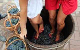 Как правильно давить виноград на вино