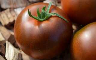 Коллекционные семена томатов от коллекционеров