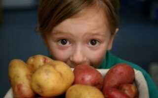 Чем полезна картошка для детей