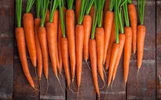 Пищевая ценность моркови свежей