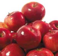 Сорт яблони анис фото и описание сорта
