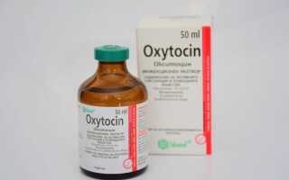 Окситоцин для коров инструкция по применению