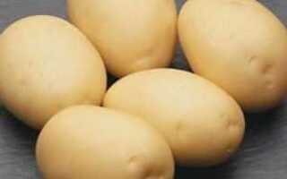 Сорт картофеля сифра характеристика отзывы