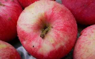Молдавские сорта яблок названия