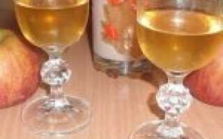 Карбонизация вина в домашних условиях