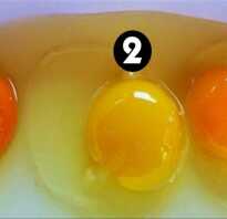 Почему желток в яйце оранжевый