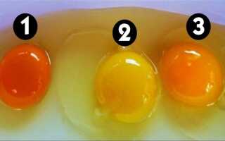 Почему желток в яйце оранжевый