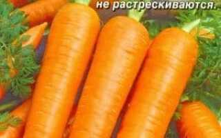Сорт моркови красная без сердцевины