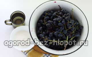 Как сделать виноградный сок без соковыжималки