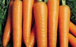 Морковь вита лонга отзывы