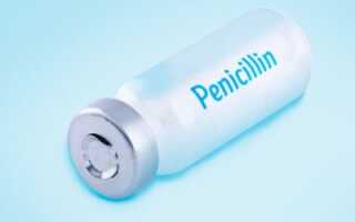 Как давать курам пенициллин