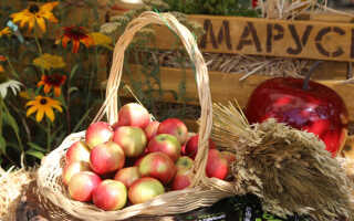 Как можно использовать яблоню и ее плоды