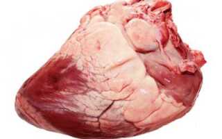Сердце свиное отварное калорийность на 100 грамм