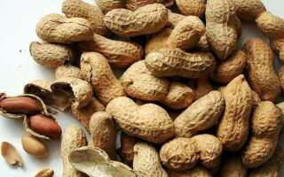 Ген петунии в арахисе