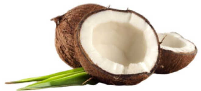 Мякоть кокоса польза и вред